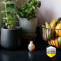 Home defense fruitvliegjesval - afbeelding 2