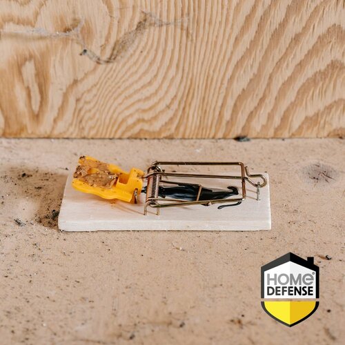 Home defense muizenval hout 2 stuks - afbeelding 2