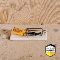 Home defense muizenval hout 2 stuks - afbeelding 2