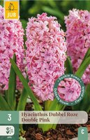 Hyacint dubbel roze 3 bollen