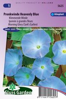Ipomoea Tricolor zaden Heavenly Blue klimmende winde
