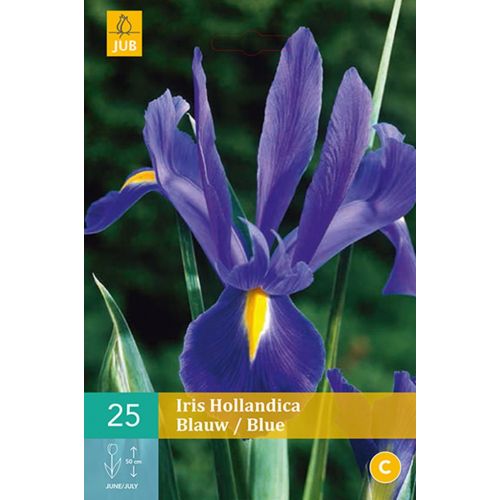 Iris hollandica blauw - afbeelding 1