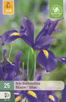 Iris hollandica blauw 25 bollen
