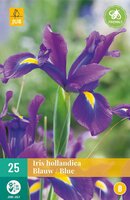 Iris hollandica blauw - afbeelding 2