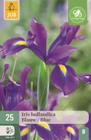 Iris hollandica blauw