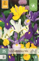 Iris hollandica mix