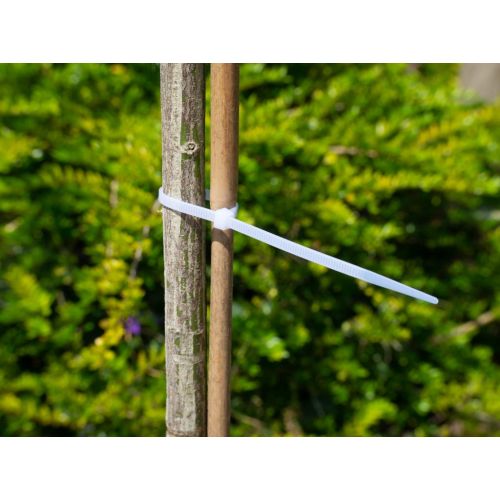 Nature kabelbinders tyraps nylon 20 cm 25 stuks transparant - afbeelding 2