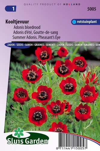 Kooltjevuur zaden Pheasants Eye