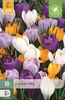 KROKUS GROOTBLOEMIG MIX 10 BOLLEN