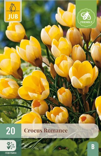 Krokus romance 20 bollen - afbeelding 3