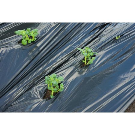 Nature kweekfolie aardappelen zwart 0.95x10 m - afbeelding 2