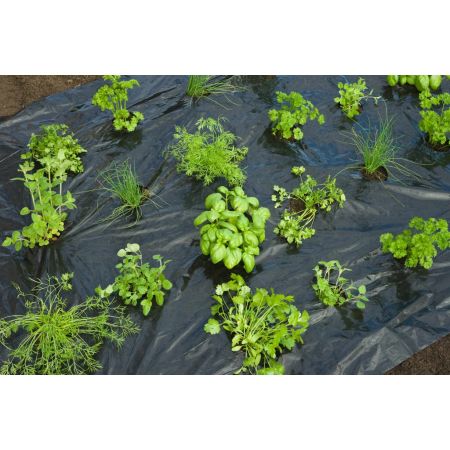 Nature kweekfolie tuinkruiden zwart 0.95x5 m - afbeelding 2