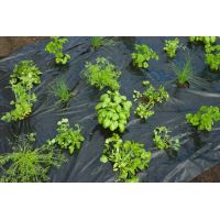 Nature kweekfolie tuinkruiden zwart 0.95x5 m - afbeelding 2