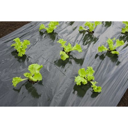 Nature kweekfolie voor sla zwart 0.95x5 m - afbeelding 2