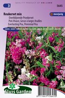 Lathyrus Latifolius zaden Reukerwt Gemengd