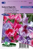 Lathyrus Odoratus zaden Ripple Formula Mix reukerwt