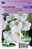 Lavatera Trimestris zaden White Regis