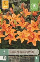 Lelie abbeville's pride