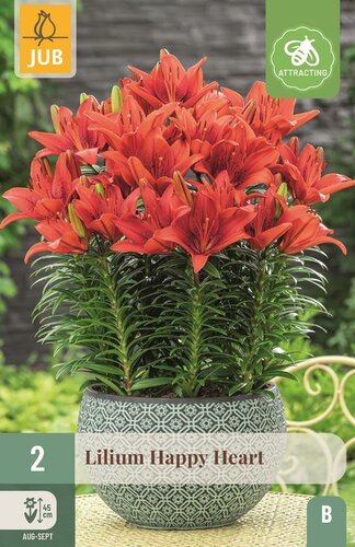 Lelie happy heart