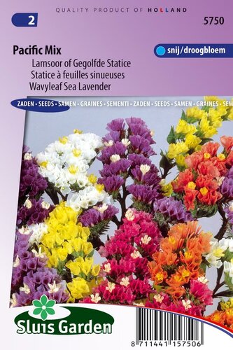 Limonium Sinuatum zaden Pacific Mix lamsoor