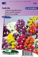 Limonium Sinuatum zaden Pacific Mix lamsoor