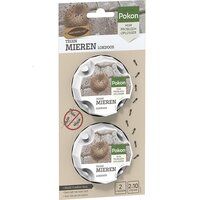 Pokon tegen mieren lokdoos 2 stuks