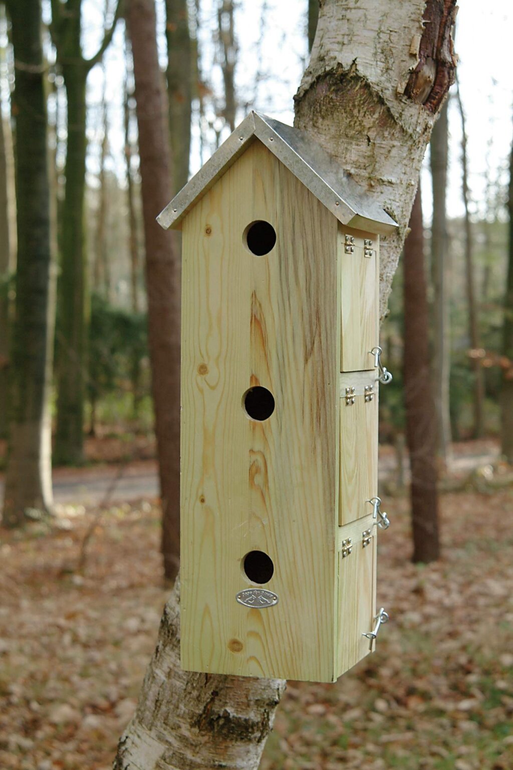 Goed opgeleid Briljant Gemiddeld Mussenvilla vogelhuis - Bloembollen Kopen? | Goedkoop Bloembollen online  Bestellen!