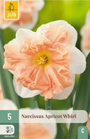 Narcis apricot whirl 5 bollen