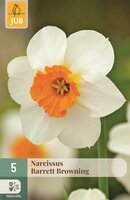 Narcis barrett browning 5 bollen