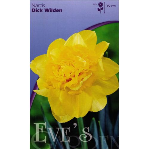 Narcis Dick Wilden 20 bollen - afbeelding 1