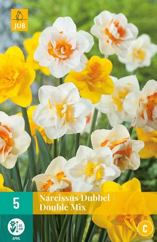 Narcis dubbel mix  5 bollen