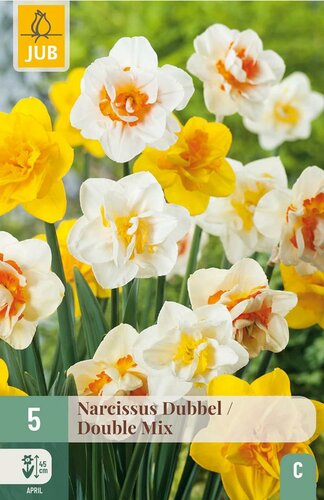 Narcis dubbel mix  5 bollen - afbeelding 2