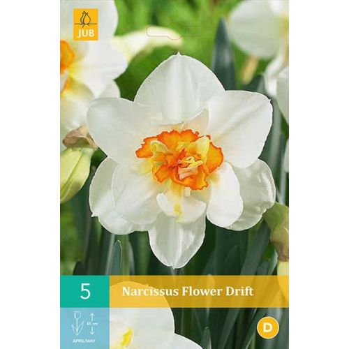 Narcis flower drift 5 bollen