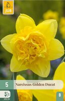 Narcis golden ducat 5 bollen - afbeelding 3