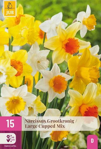 Narcis grootkronig mix 15 bollen - afbeelding 2
