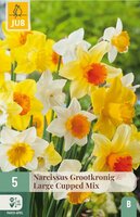 Narcis grootkronig mix 5 bollen - afbeelding 2