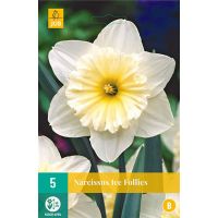 Narcis ice follies 5 bollen - afbeelding 3