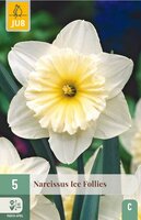 Narcis ice follies 5 bollen - afbeelding 4