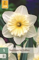 Narcis ice follies 5 bollen