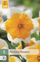 NARCIS ORANGERY