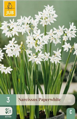 Narcis paperwhite 3 bollen - afbeelding 3