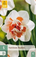 Narcis Replete 5 bollen - afbeelding 4