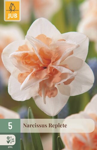 Narcis Replete 5 bollen - afbeelding 1