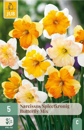 Narcis spleetkronige mix 5 bollen - afbeelding 3