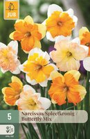 SPLEETKRONIGE NARCIS