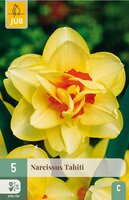Narcis tahiti 5 bollen - afbeelding 4