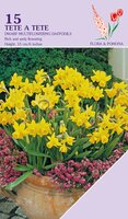 Narcis Tete a Tete 15 bollen - afbeelding 2