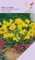 Narcis Tete a Tete 20 bollen - afbeelding 2