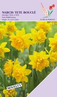Narcis tete boucle 12 bollen - afbeelding 1