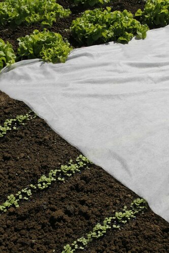 Nature afdekvlies 10 x 2 meter wit - afbeelding 2